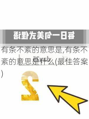 有条不紊的意思是,有条不紊的意思是什么(最佳答案)