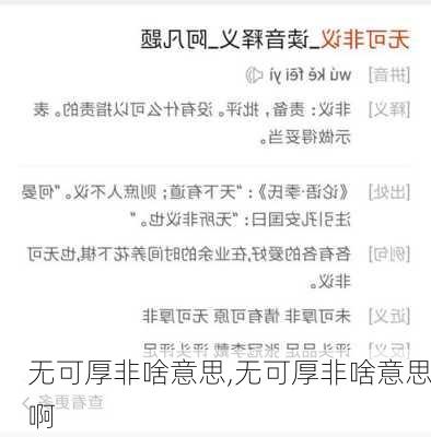 无可厚非啥意思,无可厚非啥意思啊