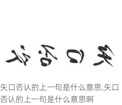 矢口否认的上一句是什么意思,矢口否认的上一句是什么意思啊