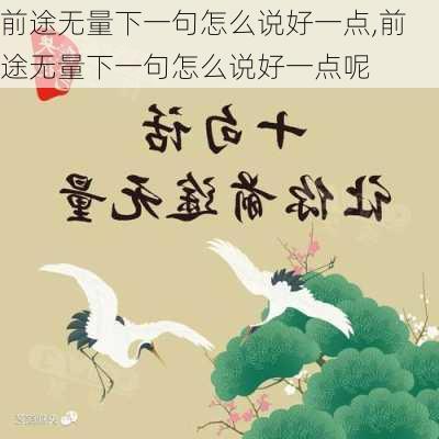 前途无量下一句怎么说好一点,前途无量下一句怎么说好一点呢