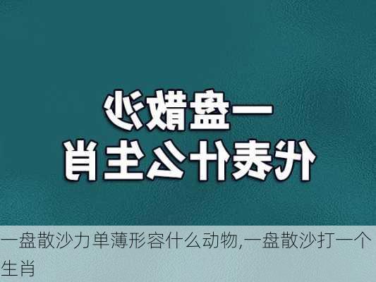 一盘散沙力单薄形容什么动物,一盘散沙打一个生肖