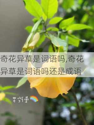 奇花异草是词语吗,奇花异草是词语吗还是成语