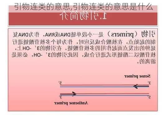 引物连类的意思,引物连类的意思是什么