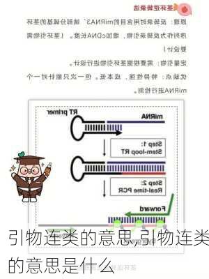 引物连类的意思,引物连类的意思是什么