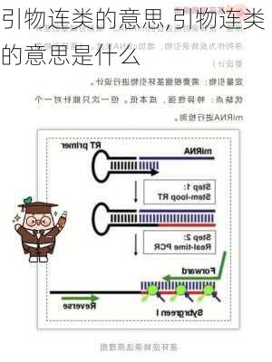 引物连类的意思,引物连类的意思是什么