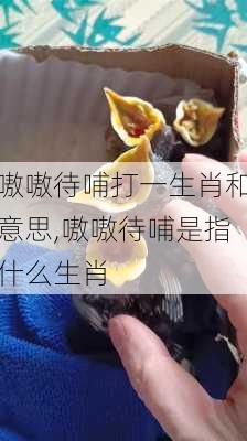 嗷嗷待哺打一生肖和意思,嗷嗷待哺是指什么生肖