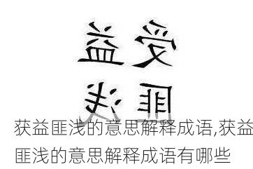 获益匪浅的意思解释成语,获益匪浅的意思解释成语有哪些