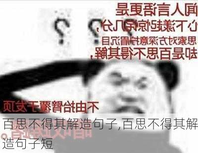 百思不得其解造句子,百思不得其解造句子短