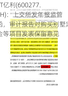 ST亿利(600277.SH)：上交所发年报监管函，审计报告对购买别墅定金等项目发表保留意见