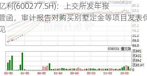 ST亿利(600277.SH)：上交所发年报监管函，审计报告对购买别墅定金等项目发表保留意见