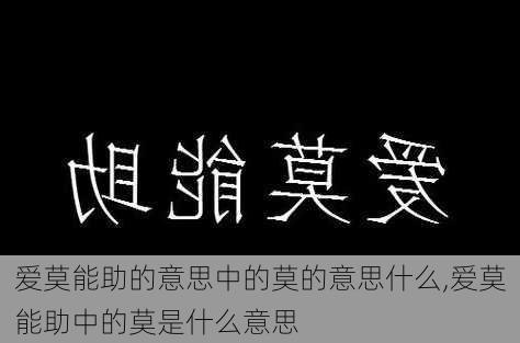 爱莫能助的意思中的莫的意思什么,爱莫能助中的莫是什么意思