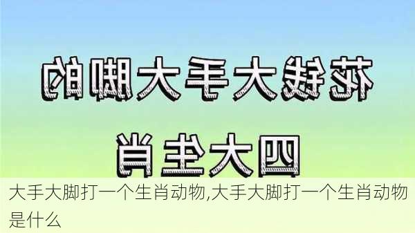 大手大脚打一个生肖动物,大手大脚打一个生肖动物是什么