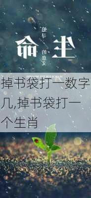 掉书袋打一数字几,掉书袋打一个生肖