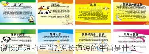 说长道短的生肖?,说长道短的生肖是什么