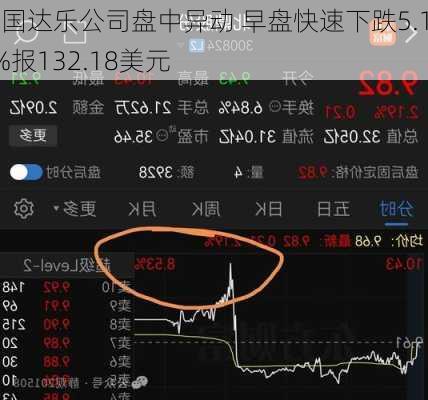 美国达乐公司盘中异动 早盘快速下跌5.10%报132.18美元