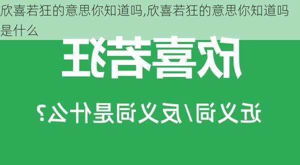 欣喜若狂的意思你知道吗,欣喜若狂的意思你知道吗是什么