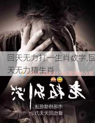 回天无力打一生肖数字,回天无力猜生肖