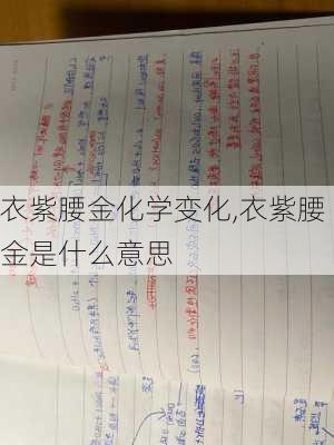 衣紫腰金化学变化,衣紫腰金是什么意思