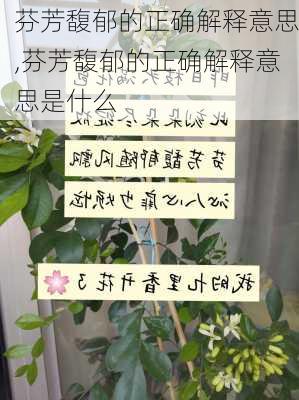 芬芳馥郁的正确解释意思,芬芳馥郁的正确解释意思是什么