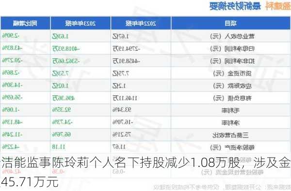 新洁能监事陈玲莉个人名下持股减少1.08万股，涉及金额45.71万元