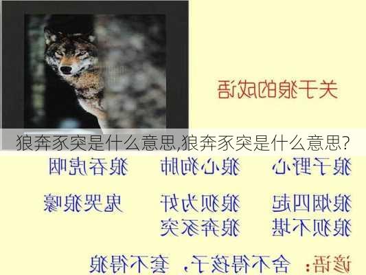 狼奔豕突是什么意思,狼奔豕突是什么意思?