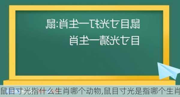 鼠目寸光指什么生肖哪个动物,鼠目寸光是指哪个生肖