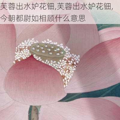 芙蓉出水妒花钿,芙蓉出水妒花钿,今朝都尉如相顾什么意思