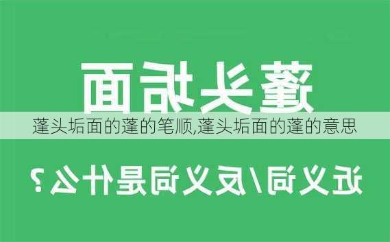 蓬头垢面的蓬的笔顺,蓬头垢面的蓬的意思