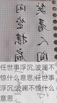 任世事浮沉,波澜不惊什么意思,任世事浮沉,波澜不惊什么意思