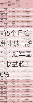 前5个月公募业绩出炉：“冠军基”收益超30%