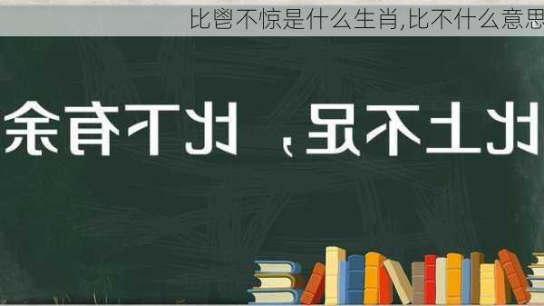 比鬯不惊是什么生肖,比不什么意思