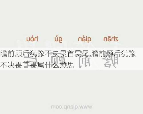 瞻前顾后犹豫不决畏首畏尾,瞻前顾后犹豫不决畏首畏尾什么意思