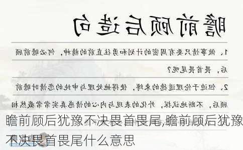 瞻前顾后犹豫不决畏首畏尾,瞻前顾后犹豫不决畏首畏尾什么意思