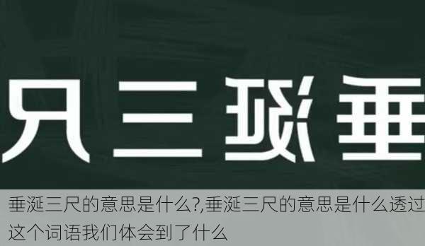 垂涎三尺的意思是什么?,垂涎三尺的意思是什么透过这个词语我们体会到了什么