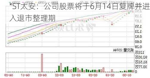 *ST太安：公司股票将于6月14日复牌并进入退市整理期