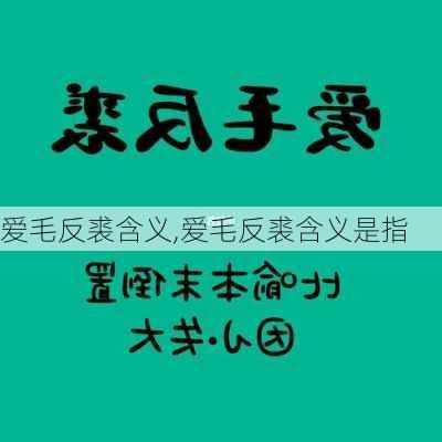 爱毛反裘含义,爱毛反裘含义是指