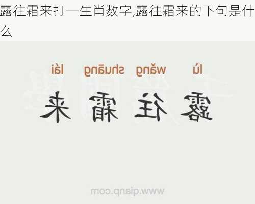 露往霜来打一生肖数字,露往霜来的下句是什么