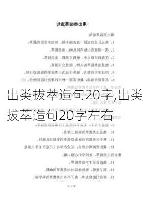 出类拔萃造句20字,出类拔萃造句20字左右