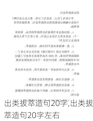 出类拔萃造句20字,出类拔萃造句20字左右