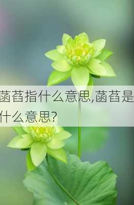 菡萏指什么意思,菡萏是什么意思?