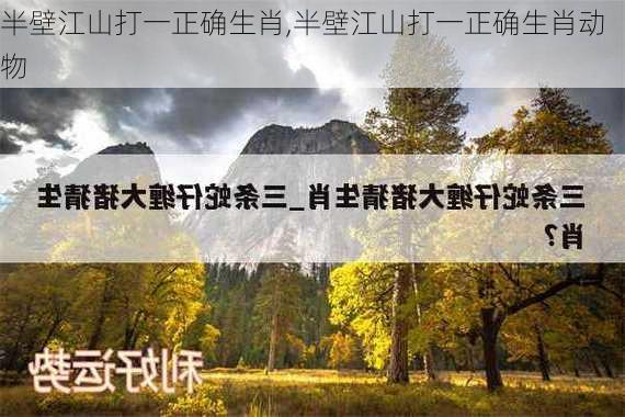 半壁江山打一正确生肖,半壁江山打一正确生肖动物