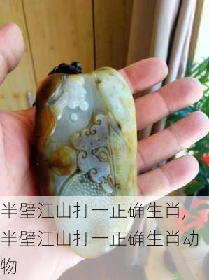 半壁江山打一正确生肖,半壁江山打一正确生肖动物