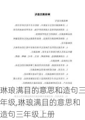 琳琅满目的意思和造句三年级,琳琅满目的意思和造句三年级上册