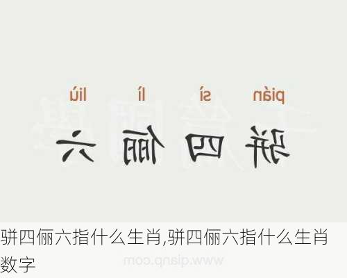 骈四俪六指什么生肖,骈四俪六指什么生肖数字