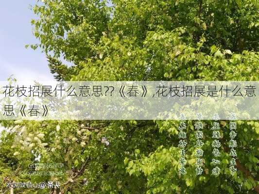 花枝招展什么意思??《春》,花枝招展是什么意思《春》