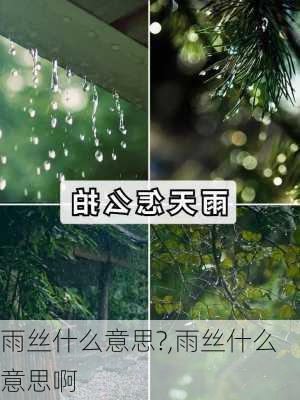 雨丝什么意思?,雨丝什么意思啊