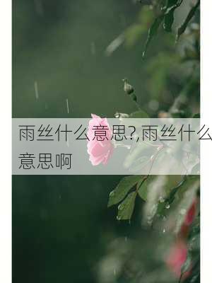 雨丝什么意思?,雨丝什么意思啊