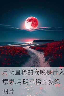 月明星稀的夜晚是什么意思,月明星稀的夜晚图片