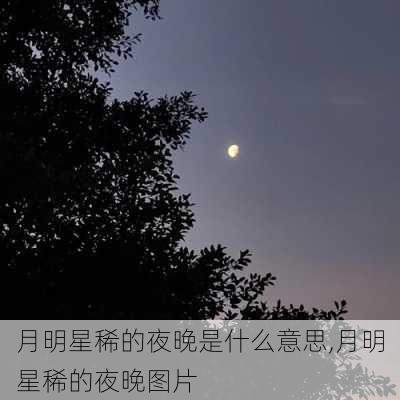 月明星稀的夜晚是什么意思,月明星稀的夜晚图片