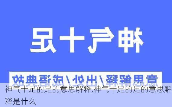 神气十足的足的意思解释,神气十足的足的意思解释是什么